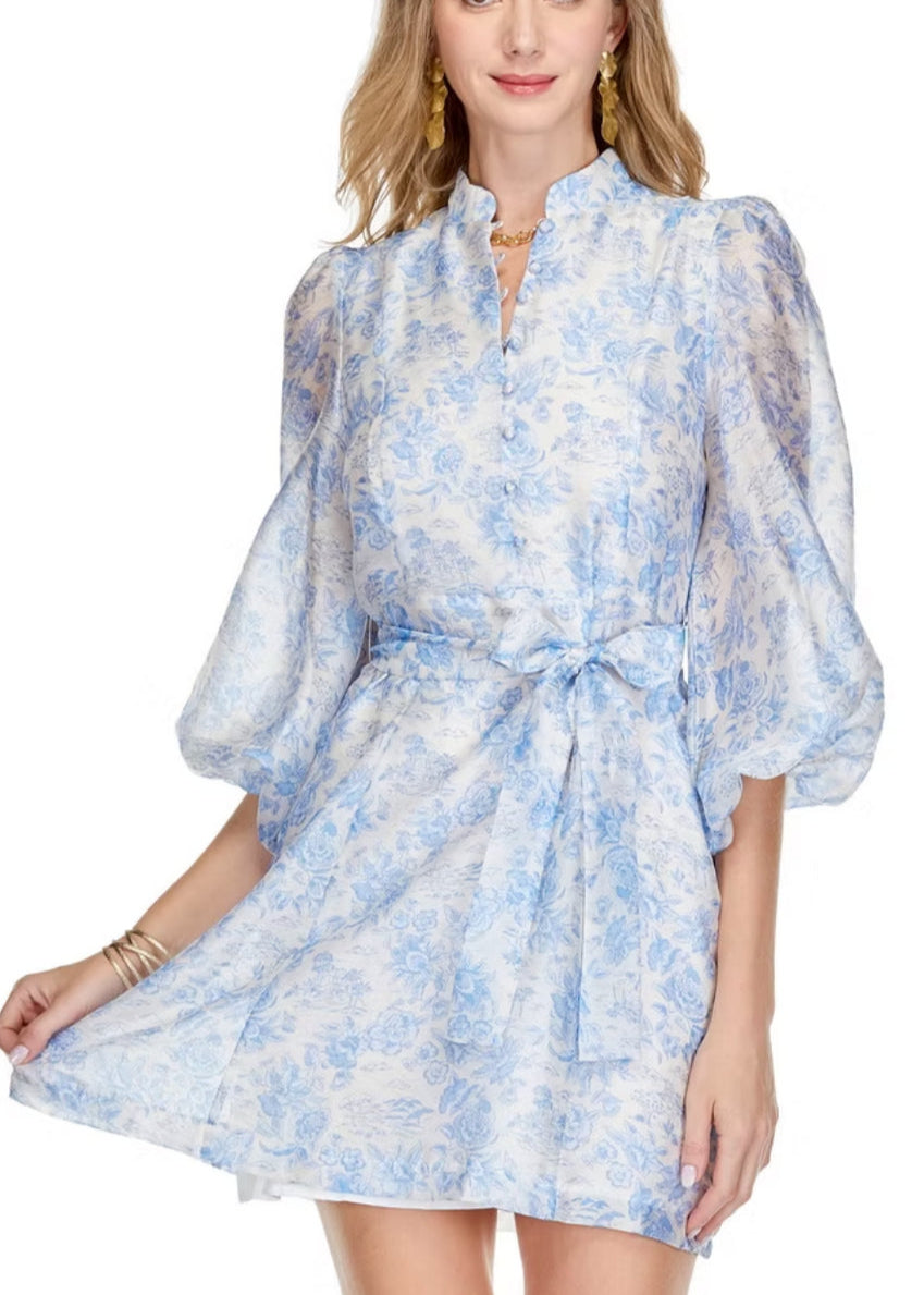 Jade Blue Bashful Garden Stand Collar A-Line Dress